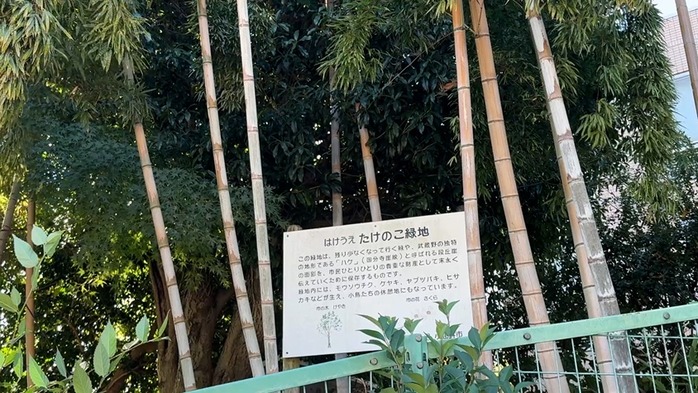 シーケンス 01.00_02_53_24.静止画052