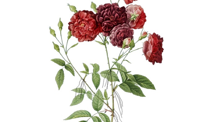 シーケンス 01.00_16_07_25.静止画054