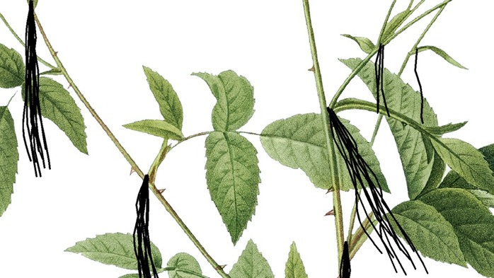 シーケンス 01.00_16_24_20.静止画057