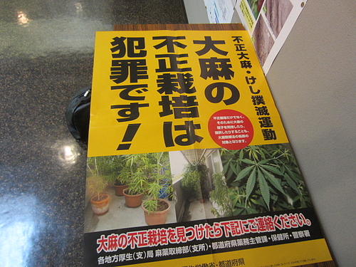 東京都薬用植物園 東京刺激クラブ