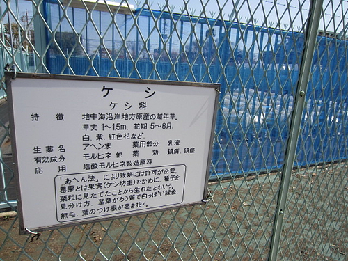 ２３区外 神奈川 埼玉とその他の珍スポット 珍寺 大食い 激辛 奇食マップ 東京刺激クラブ