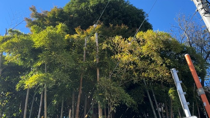 シーケンス 01.00_01_58_26.静止画050