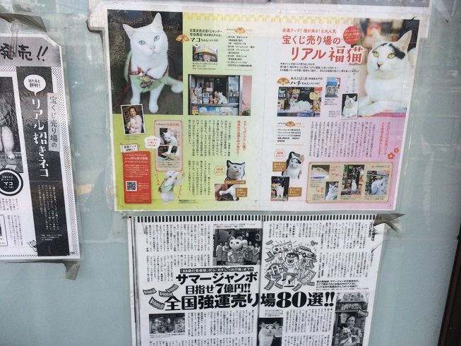 リアルまねき猫の宝くじ売り場 東京刺激クラブ