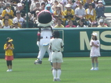 P1010387