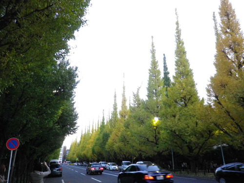 2013_11170006