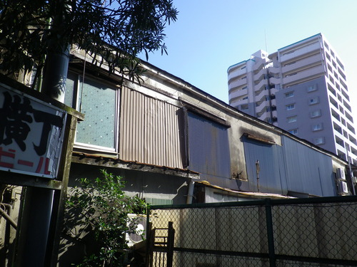 IMGP9575