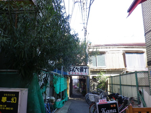 IMGP9576