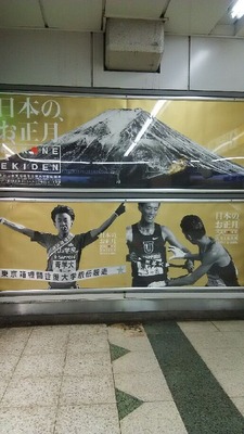 2017 �����ݥ�����