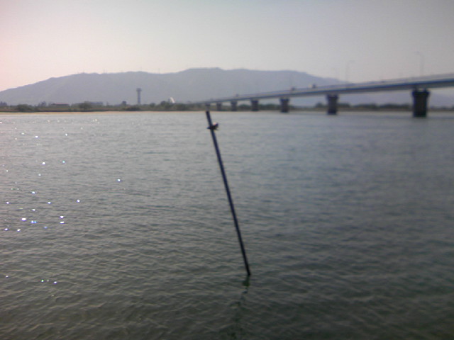 木曽川の立田大橋下流ににテナガエビを釣りに行ってきました A Better Tomorrow より良い明日 木曽川の立田大橋下流ににテナガエビを釣りに行ってきました A Better Tomorrow より良い明日