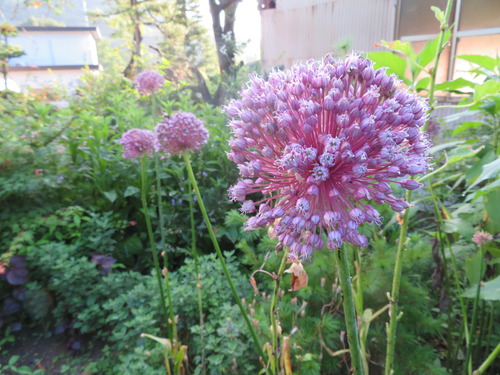 2019-07-29 022
