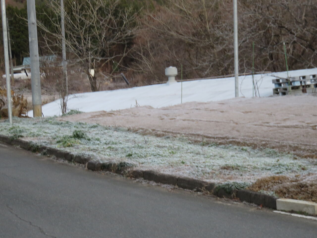 山茶花 ファーム庵