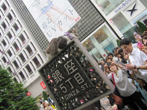 2011年6月12日0178