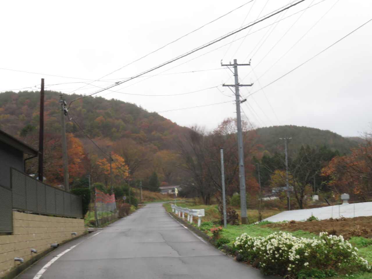 相馬工場の垣根手入れ ファーム庵