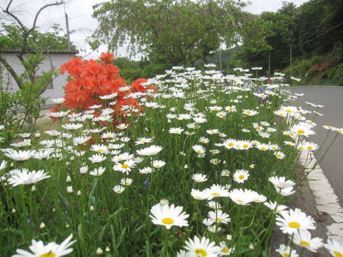 2011年5月14日0181
