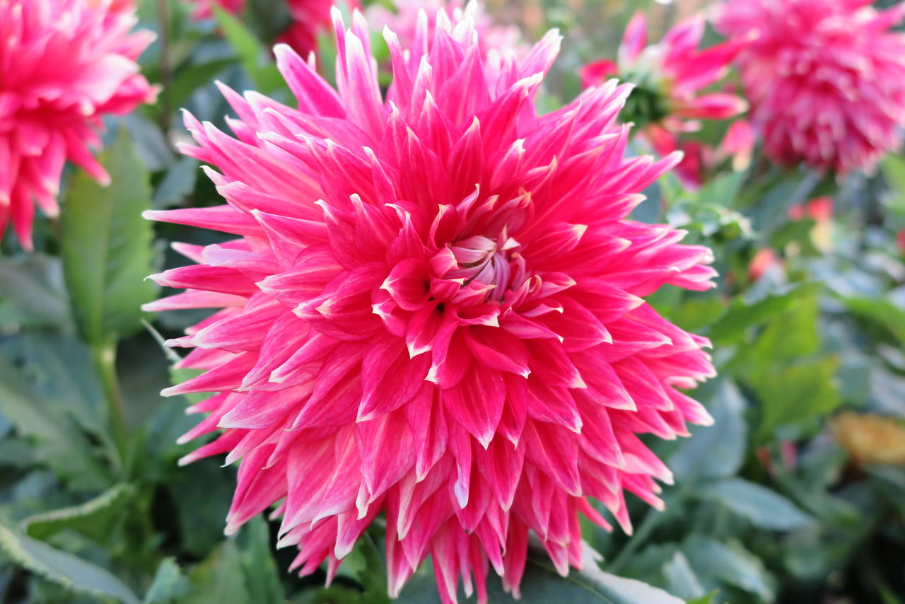 Youtube 福島相馬道路 トンネルの出来るまで ファーム庵