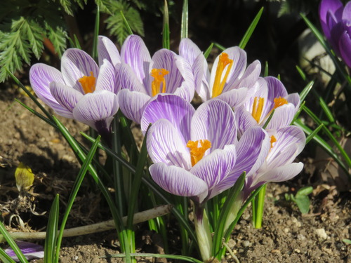 2019-03-20 011