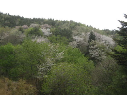 2011ǯ5·î2Æü0112