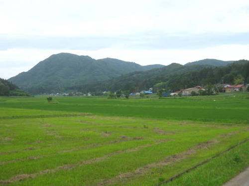 2011ǯ6·î22Æü0319