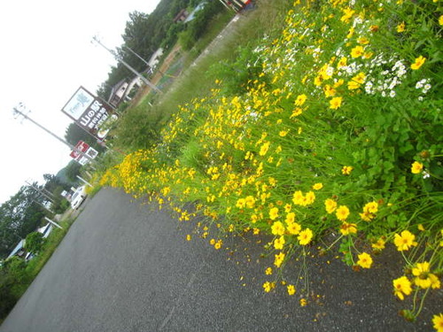2011ǯ6·î22Æü0320
