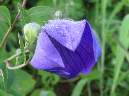 2019-07-29 018