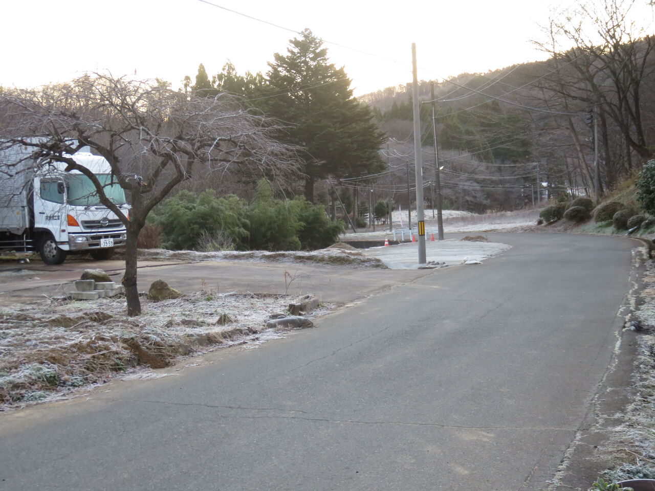 山茶花 ファーム庵