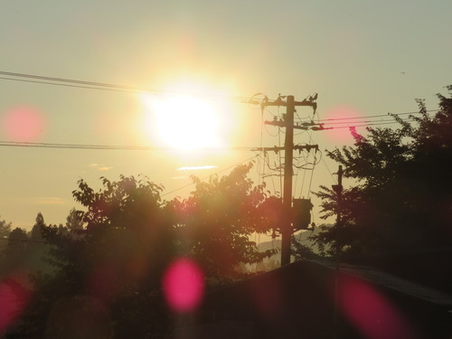 2019-07-29 002
