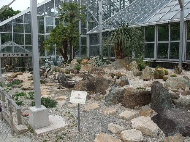 つくば植物園 なりおの徒然日記 つくば植物園 なりおの徒然日記