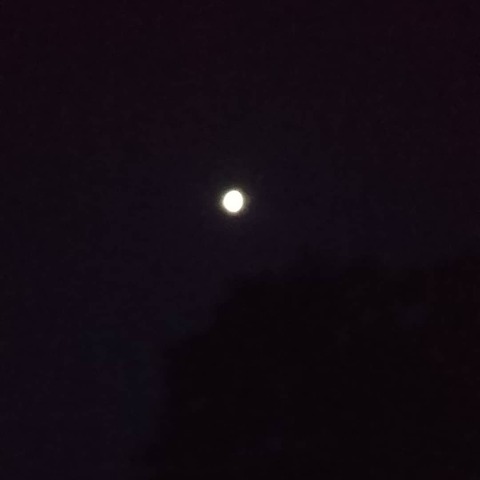 IMG_20190725_090803_939