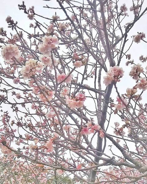 IMG_20210106_091854_259