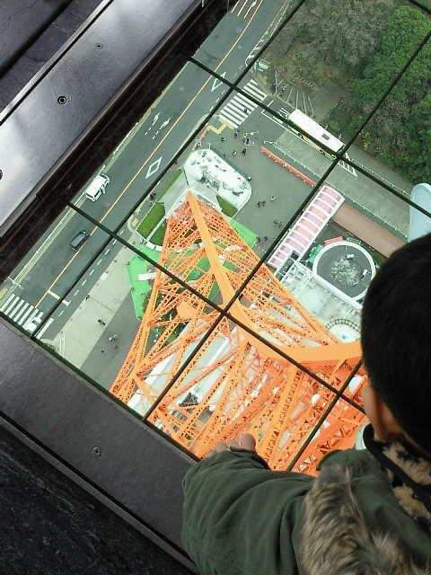 1988_477606132291068_221460223_n