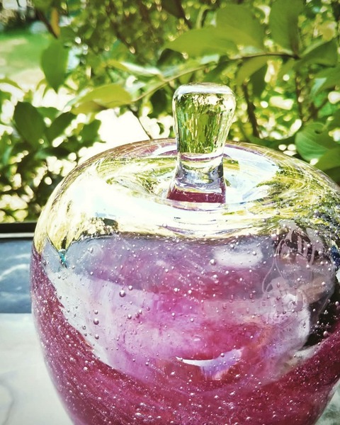 IMG_20180809_082420_805