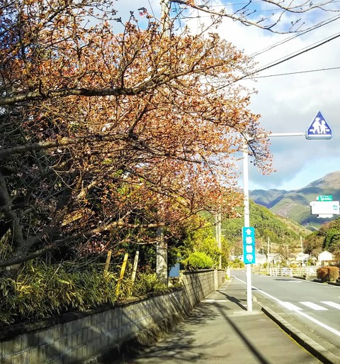 IMG_20200115_222514_995