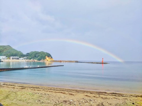 IMG_20210715_080920_358