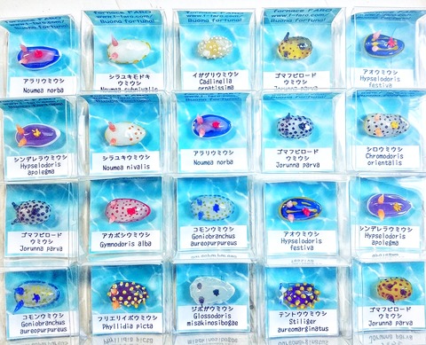 IMG_20171224_093438_332