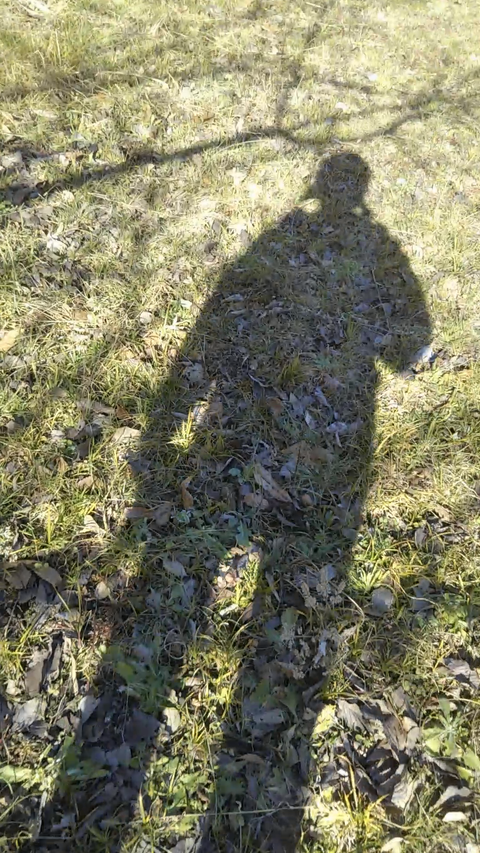Capture_220112_104023_20220114_233654