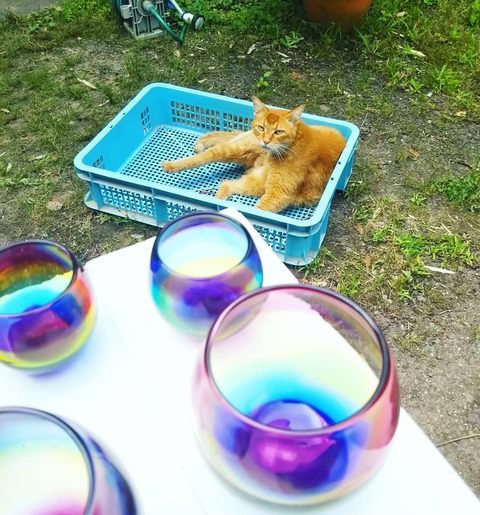 IMG_20210612_165501_732