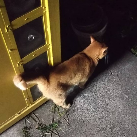 IMG_20190725_090803_941