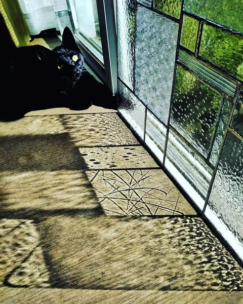 IMG_20211204_233223_086