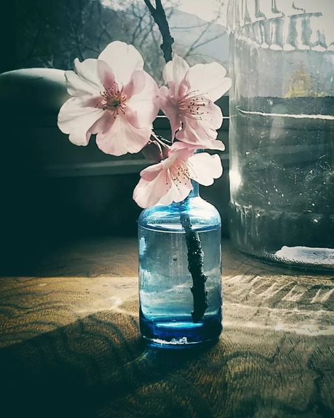 IMG_20220130_002626_429