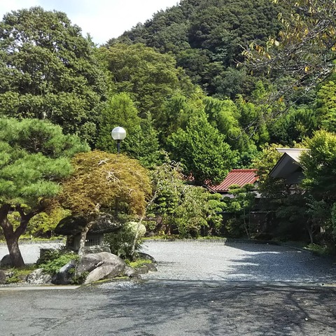 IMG_20201005_103438_543