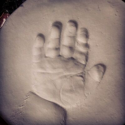 IMG_20170715_134632_423