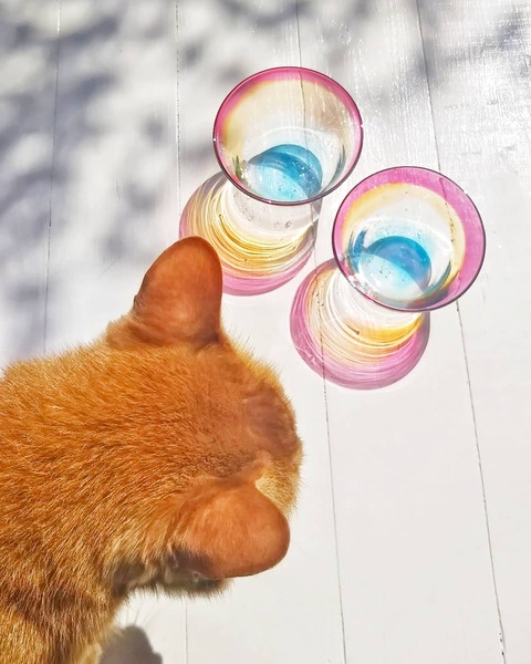 IMG_20210630_114538_151