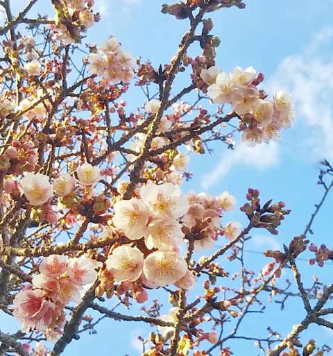 IMG_20200115_222514_996