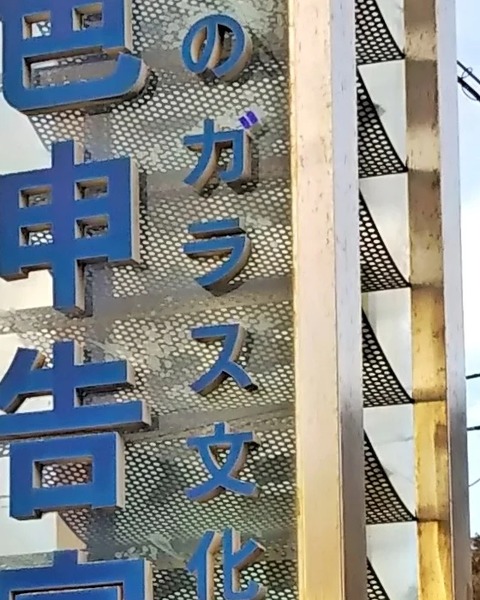 IMG_20211108_232102_394