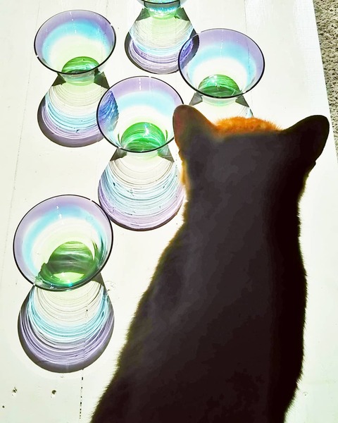 IMG_20201013_215832_938