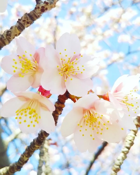 IMG_20220129_182538_213