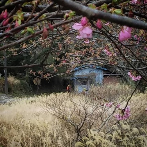 IMG_20190210_175702_598