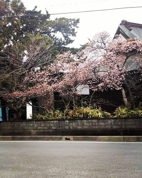 IMG_20210106_091854_258