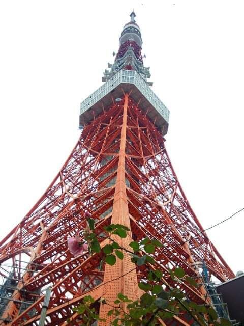 382885_477596195625395_194337130_n