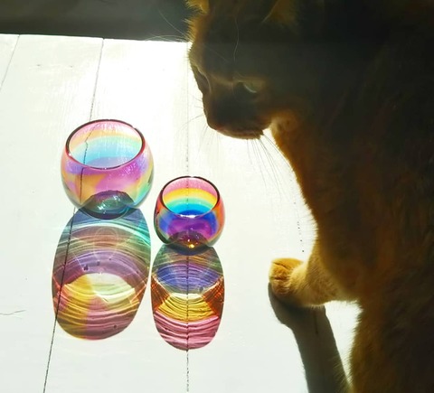 IMG_20200228_233917_615